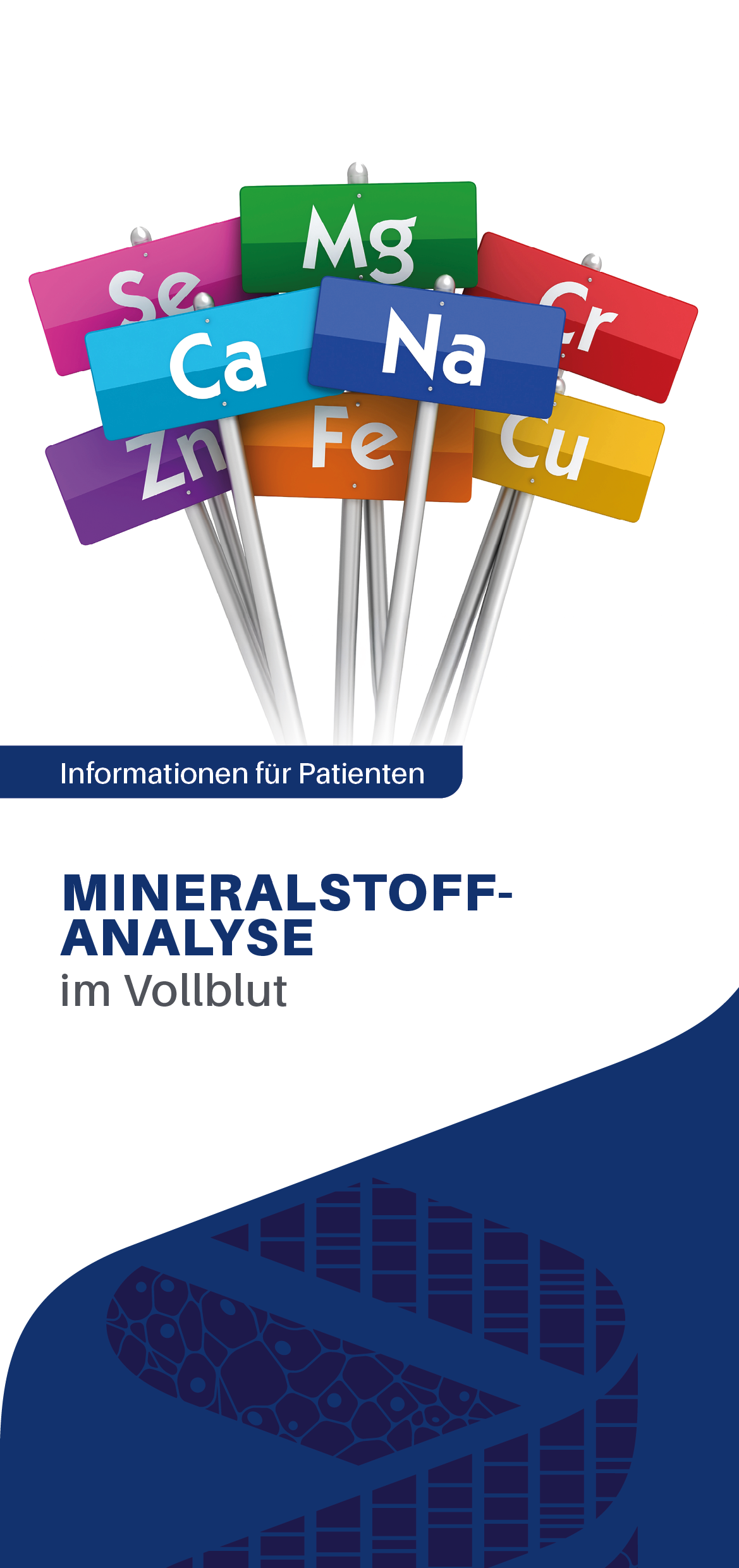 2325 0170 Mineralstoffanalyse Im Vollblut Cover