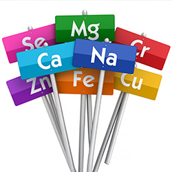 Mineralstoffe Im Vollblut