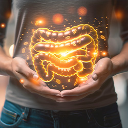 Magen Darmerkrankungen