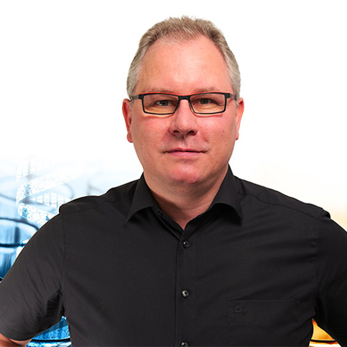 Harald Hollfelder