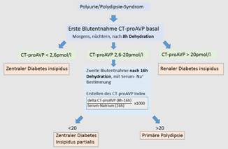 Durstversuch Labor Staber